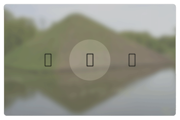 Sucherbild beim Scharfstellen